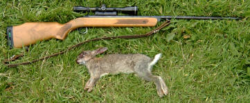 BSA Mercury S .22 4x40 scopes