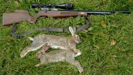 FN19-RB .22 (8 shot) 4-12x50 scopes