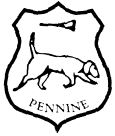 Pennine foxhounds