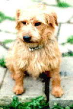 Tak 13.5" @ shoulder